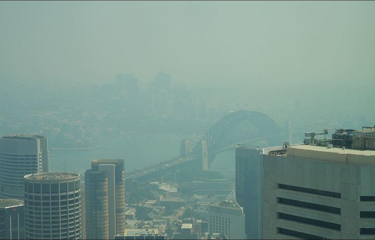 Australia: Thành phố Sydney lại chìm trong khói mù ô nhiễm