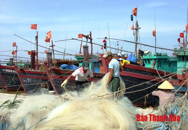 Không vứt bỏ dụng cụ khai thác thủy sản trực tiếp xuống biển