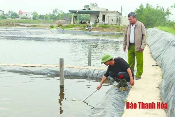 Nâng cao chất lượng nguồn nhân lực cho phát triển kinh tế HTX