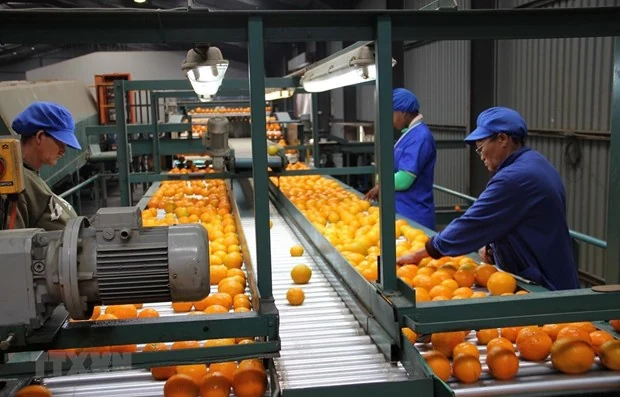 Nhìn lại thế giới 2019: Các xu hướng chiến lược ở châu Phi