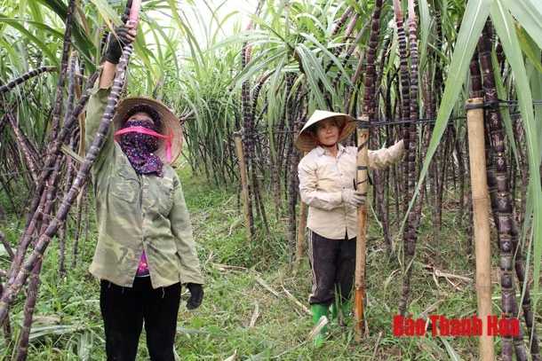 Điền Trung nỗ lực về đích nông thôn mới