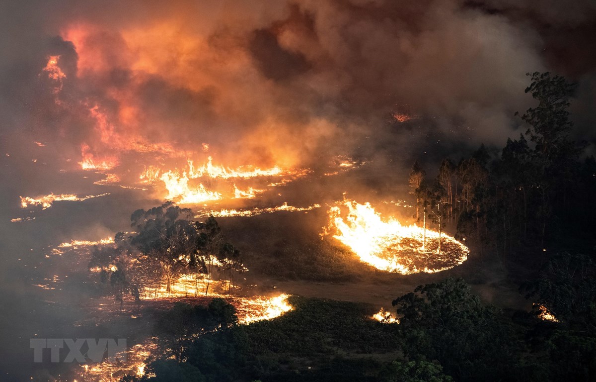 Australia điều thêm 3.000 binh sỹ ứng phó với thảm họa cháy rừng