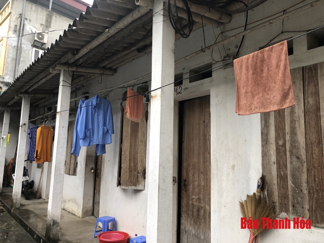 Xóm chạy thận mơ tết đoàn viên