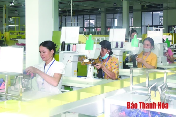 Huyện Nông Cống thực hiện có hiệu quả các giải pháp phát triển kinh tế theo hướng bền vững