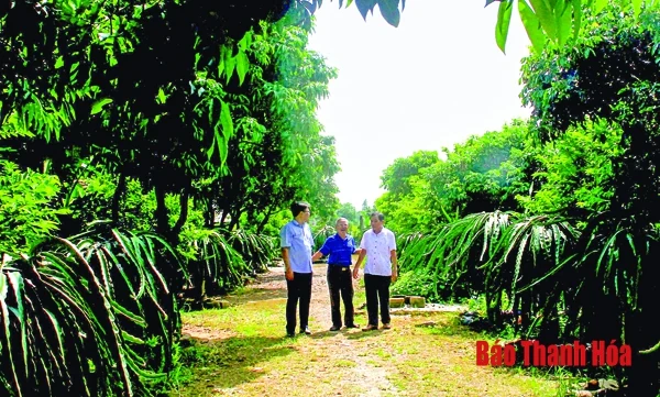 Chăm lo công việc gốc của Đảng