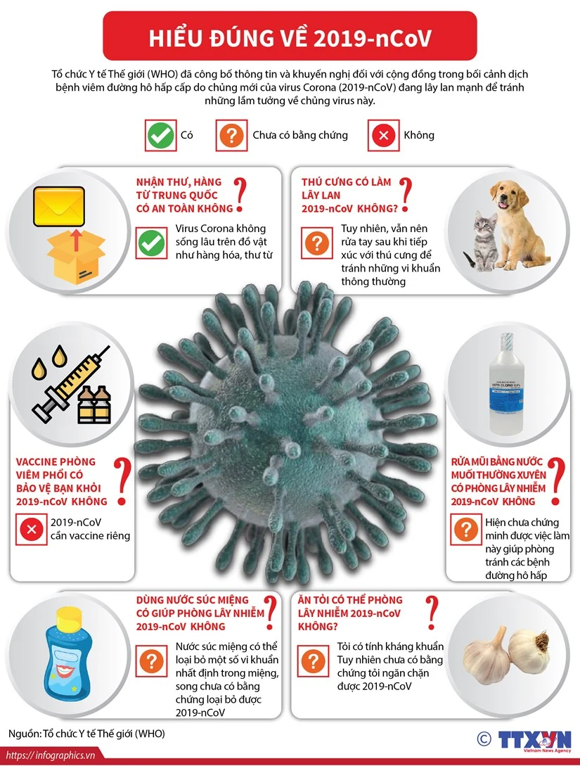 [Infographics] Hiểu đúng về 2019-nCoV theo khuyến nghị của WHO