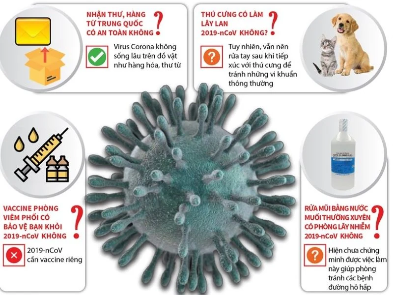 [Infographics] Hiểu đúng về 2019-nCoV theo khuyến nghị của WHO