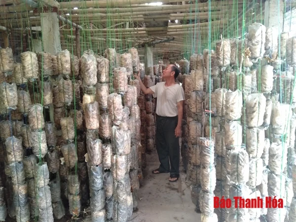 Agribank Bắc Thanh Hóa giữ vững tăng trưởng