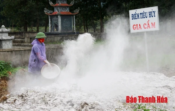 Quyết liệt thực hiện các biện pháp ngăn chặn, đẩy lùi dịch cúm gia cầm H5N6