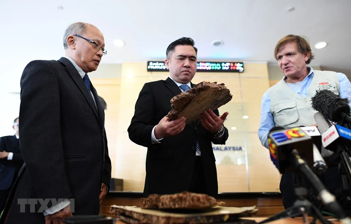 Malaysia chưa quyết định phát động cuộc tìm kiếm mới liên quan MH370