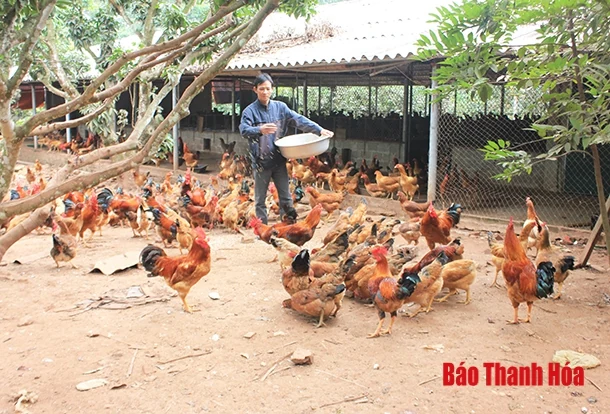 Đảng bộ xã Thọ Lập tập trung khắc phục hạn chế, yếu kém