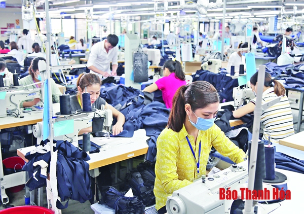 Huyện Thiệu Hóa phát triển kinh tế theo hướng bền vững