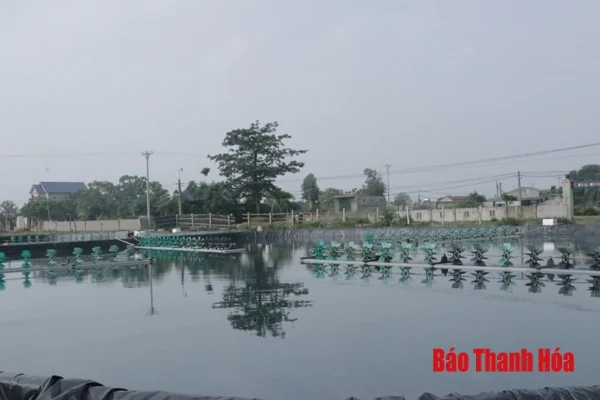 Agribank Nam Thanh Hóa tập trung cho vay phát triển kinh tế nông nghiệp, nông thôn
