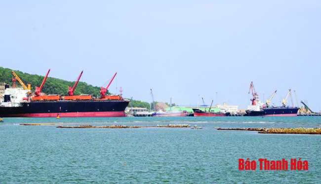 Đã có 34 chuyến tàu container quốc tế cập Cảng Nghi Sơn