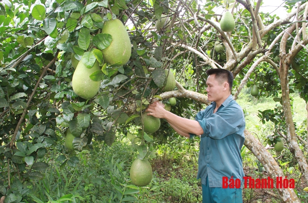 Khai thác tiềm năng, thu hút đầu tư phát triển ở huyện Thạch Thành