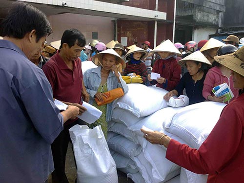 Hỗ trợ gạo cho các hộ gia đình tự nguyện nhận trồng, bảo vệ rừng