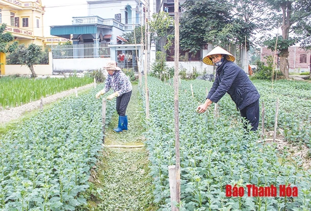 Một nhiệm kỳ với nhiều thành quả nổi bật
