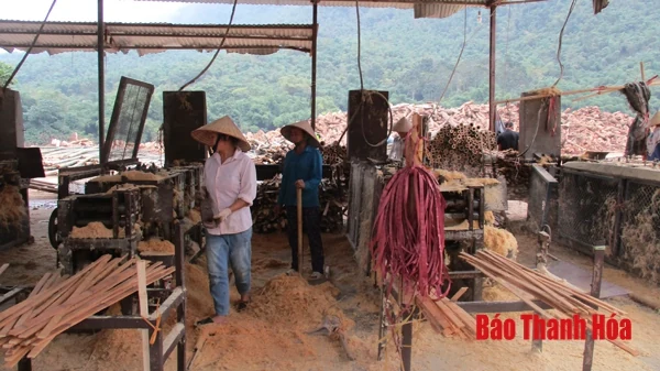 Huyện Lang Chánh phát triển lâm nghiệp gắn với chế biến