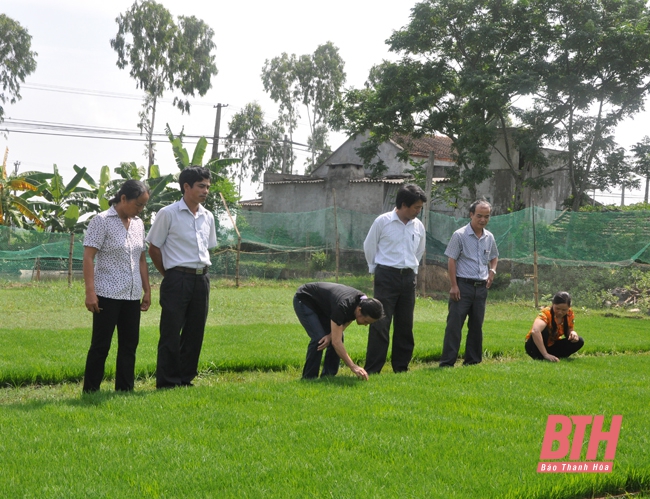 Bài 1: Khi cấp ủy cùng vào cuộc giải quyết khiếu nại, tố cáo