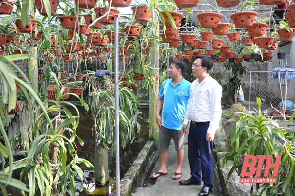 Những đảng viên gương mẫu, làm kinh tế giỏi ở huyện Nông Cống