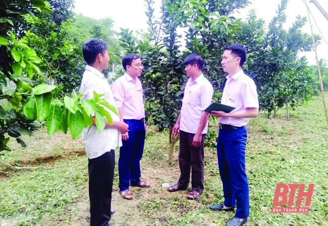 Phát huy hiệu quả chương trình tín dụng chính sách cho vay hộ vừa mới thoát nghèo