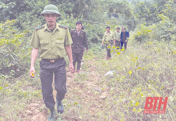 Phối hợp ngăn chặn buôn lậu lâm sản và bảo vệ rừng trên địa bàn các huyện miền núi