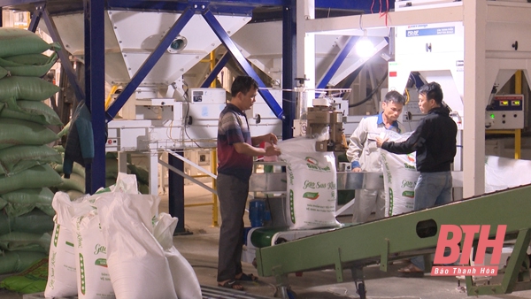 Công ty CP Thương mại Sao Khuê đồng hành cùng nhà nông