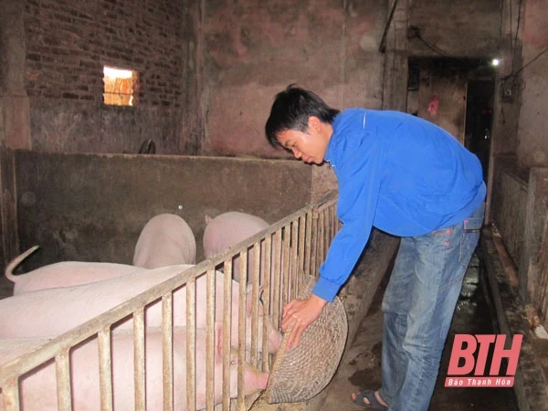Tâm lý và dịch bệnh