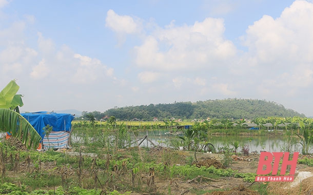 Chiếm đất nông nghiệp để đào ao làm trang trại ở huyện Hậu Lộc: Bao giờ có hồi kết