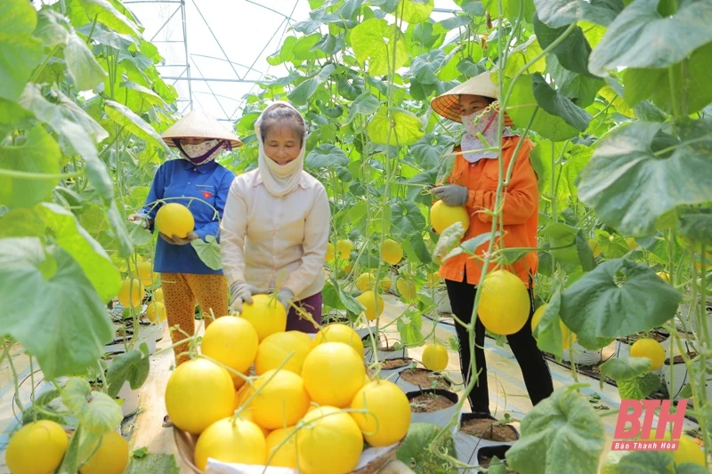 Hành trình đổi mới, hành động vì một Thanh Hóa thịnh vượng, kiểu mẫu: Bài 5 - Khơi mở các nguồn lực, để Thanh Hóa bứt phá trở thành cực tăng trưởng mới