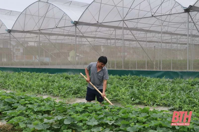 Huyện Thọ Xuân phát huy hiệu quả tín dụng chính sách cho hộ cận nghèo