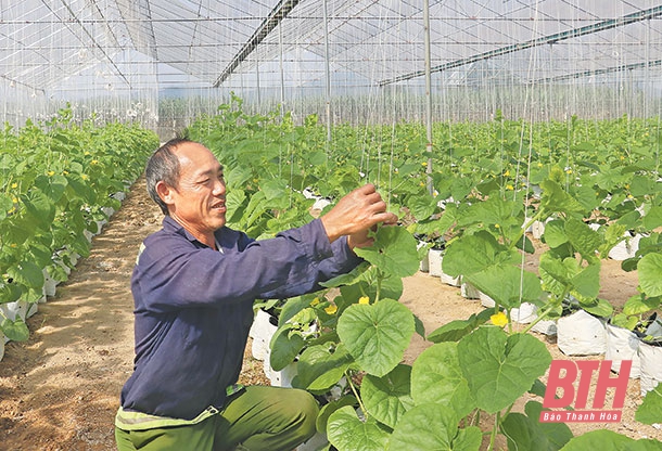 Phát triển nông nghiệp công nghệ cao ở khu vực miền núi