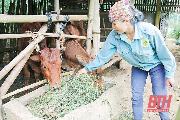 Hiệu quả sau 12 năm thực hiện Nghị quyết 30a của Chính phủ trên địa bàn tỉnh Thanh Hóa