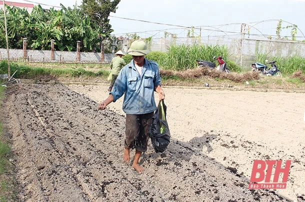 Phát triển sản xuất để “nâng chất” nông thôn mới