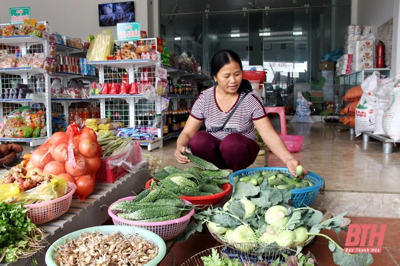 Kết quả từ phát triển kinh tế theo hướng đa dạng ngành nghề ở xã Điền Trung