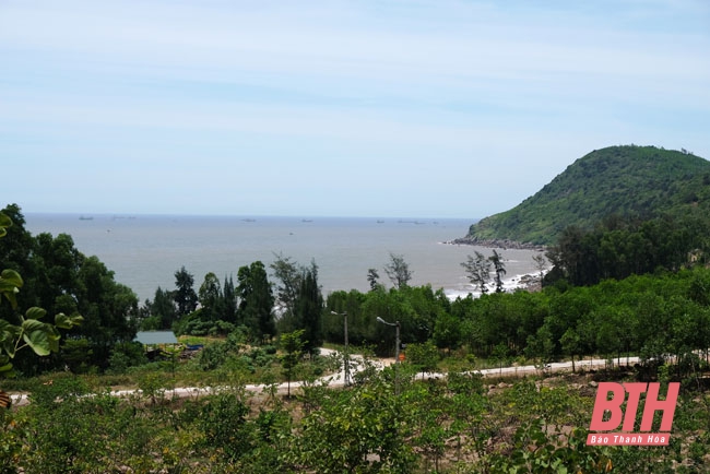 Dịu dàng Bãi Đông