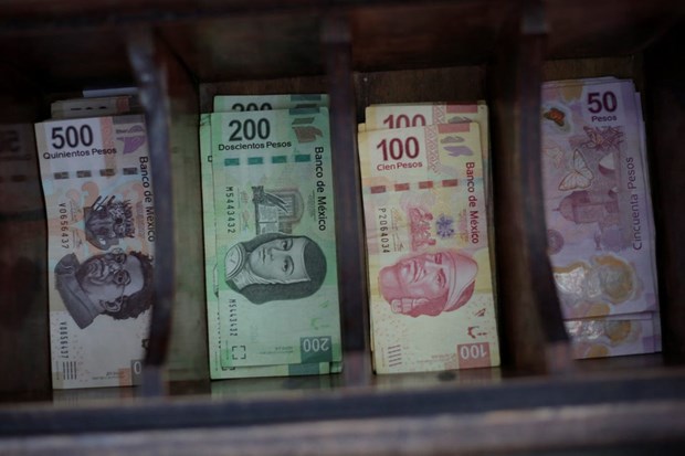 Quốc hội Brazil phê chuẩn ngân sách trả nợ cho Liên hợp quốc