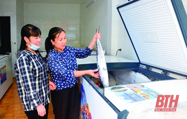 Xã Ngư Lộc khai thác tiềm năng phát triển kinh tế biển
