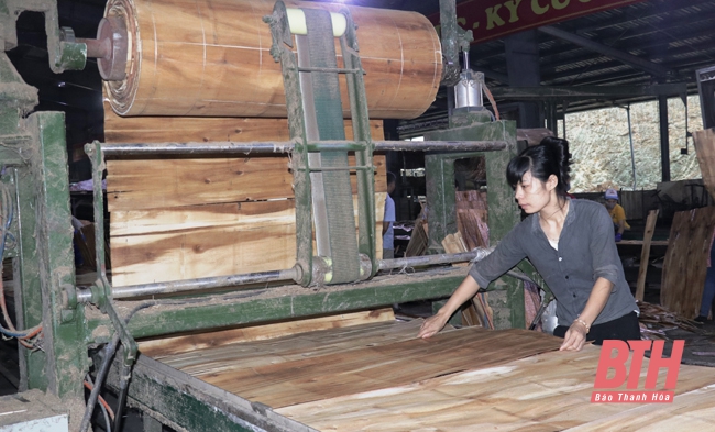 Ứng dụng công nghệ trong chế biến gỗ