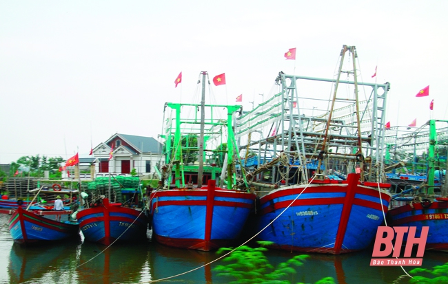 Xã Quảng Nham phát triển kinh tế biển