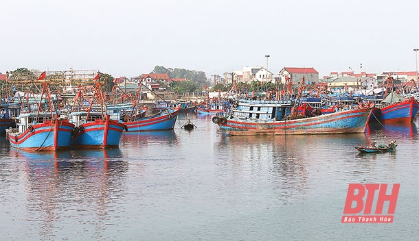 Thanh Hóa tăng cường đảm bảo an toàn cho ngư dân hoạt động phát triển kinh tế biển