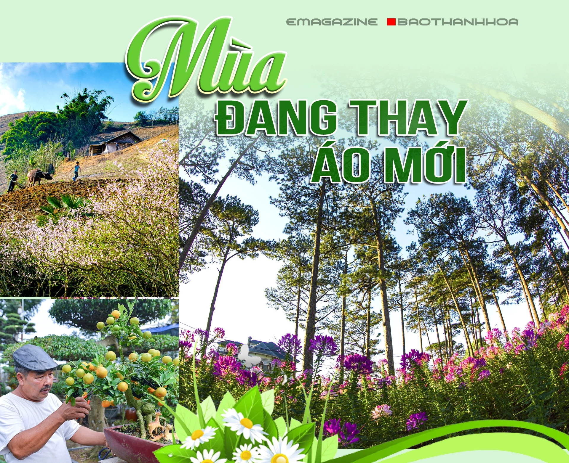 [E-Magazine] - Mùa đang thay áo mới