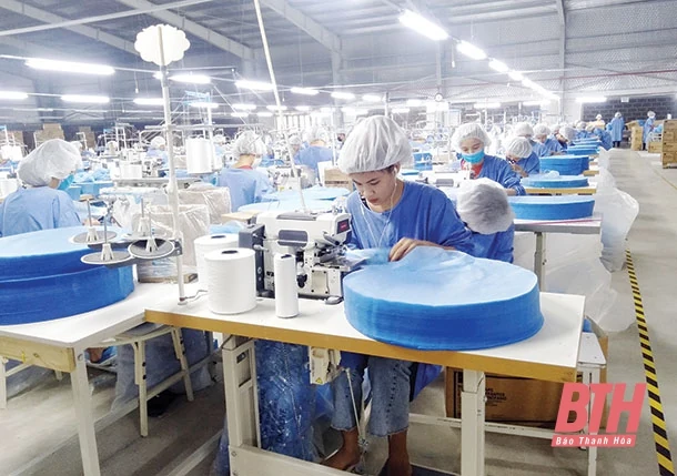 Agribank Nam Thanh Hóa đồng hành với khách hàng phát triển sản xuất, kinh doanh