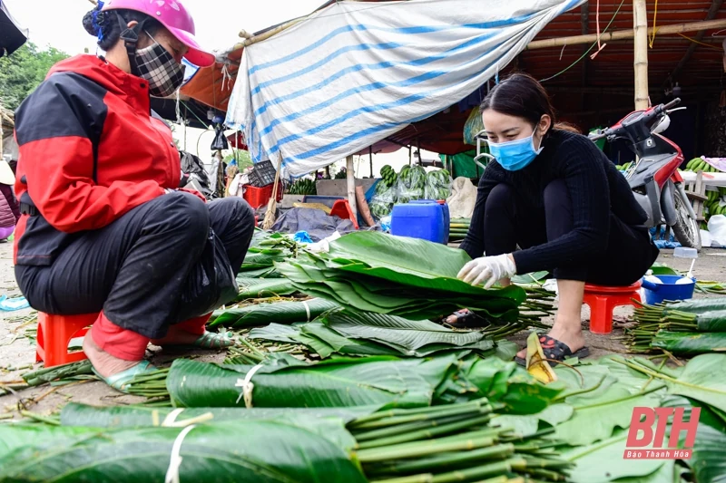 Mùa lá dong xuống phố