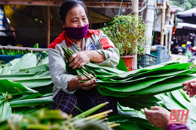 Mùa lá dong xuống phố