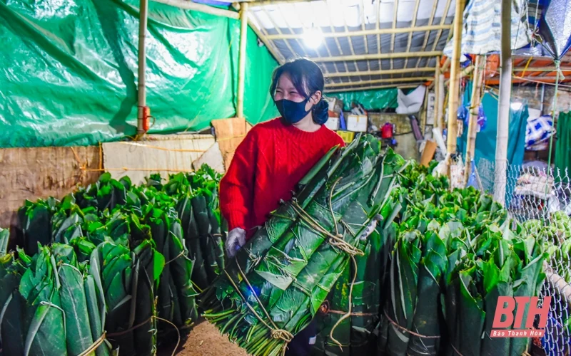 Mùa lá dong xuống phố