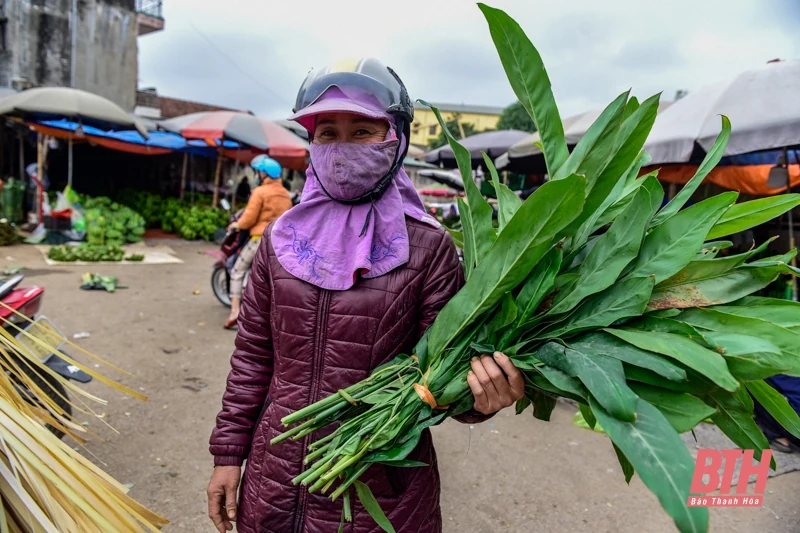 Mùa lá dong xuống phố