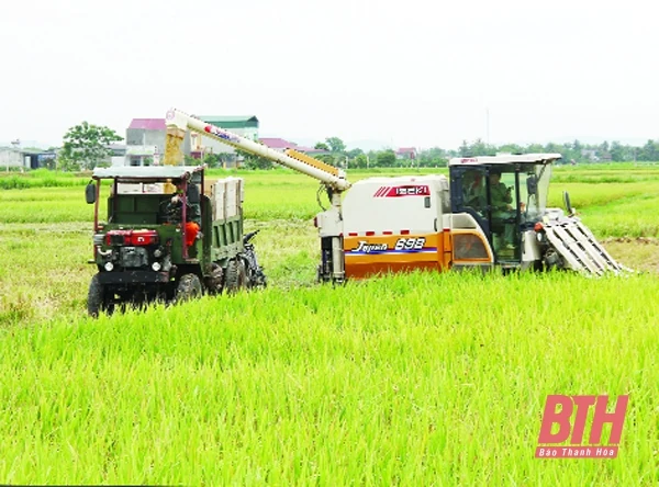 Nhân rộng những mô hình khuyến nông hiệu quả