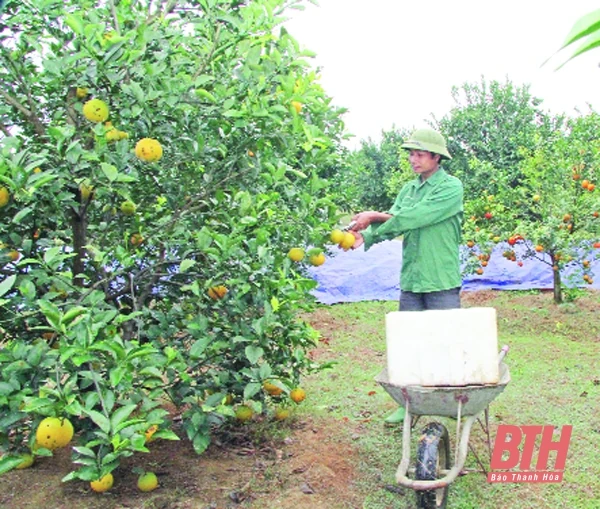 Đồng bào công giáo tỉnh Thanh “kính Chúa, yêu nước”