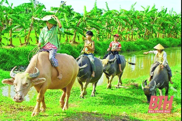Con trâu trong thơ ca Việt Nam